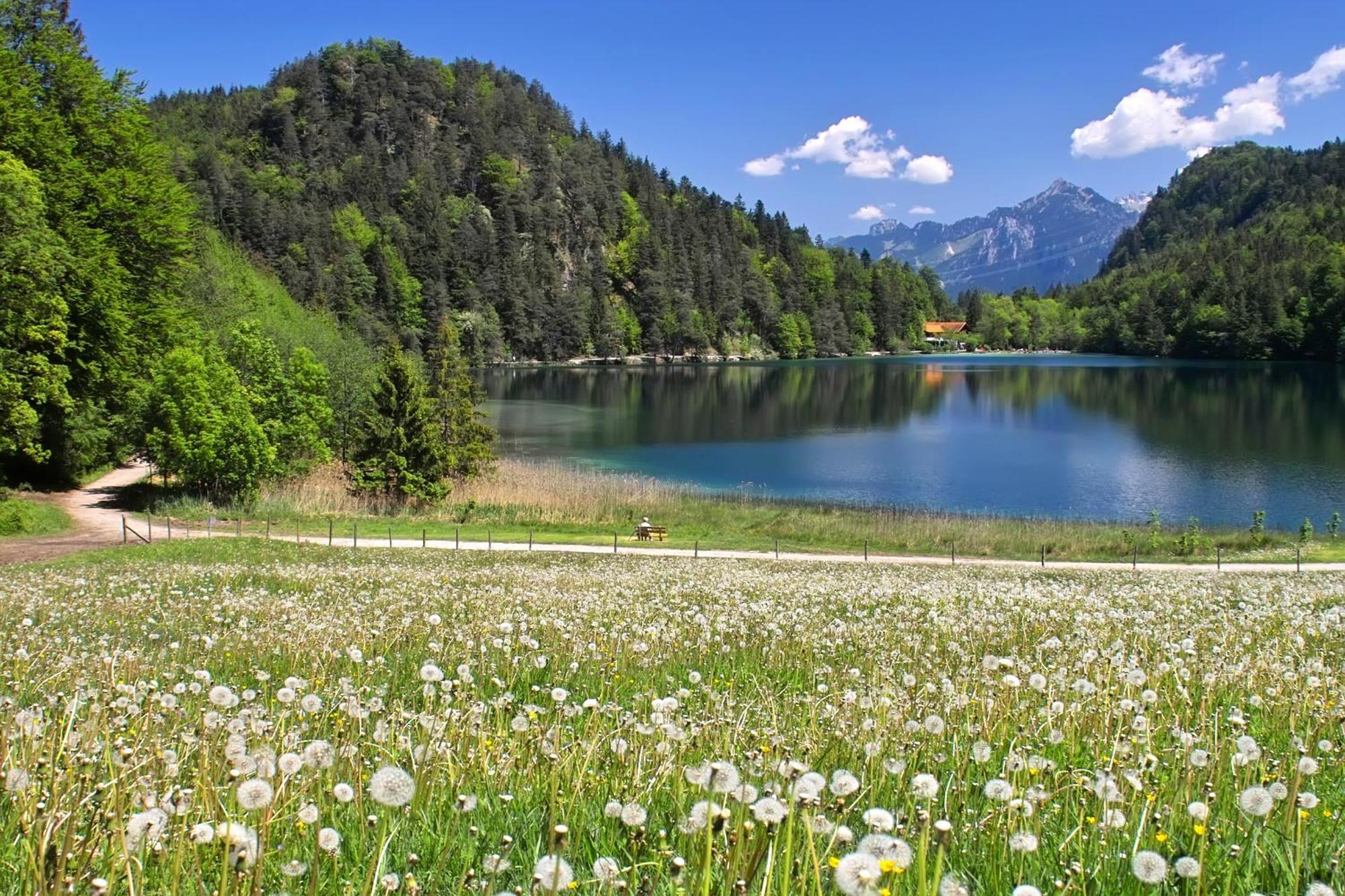Hotel Restaurant Alatsee Füssen Kültér fotó