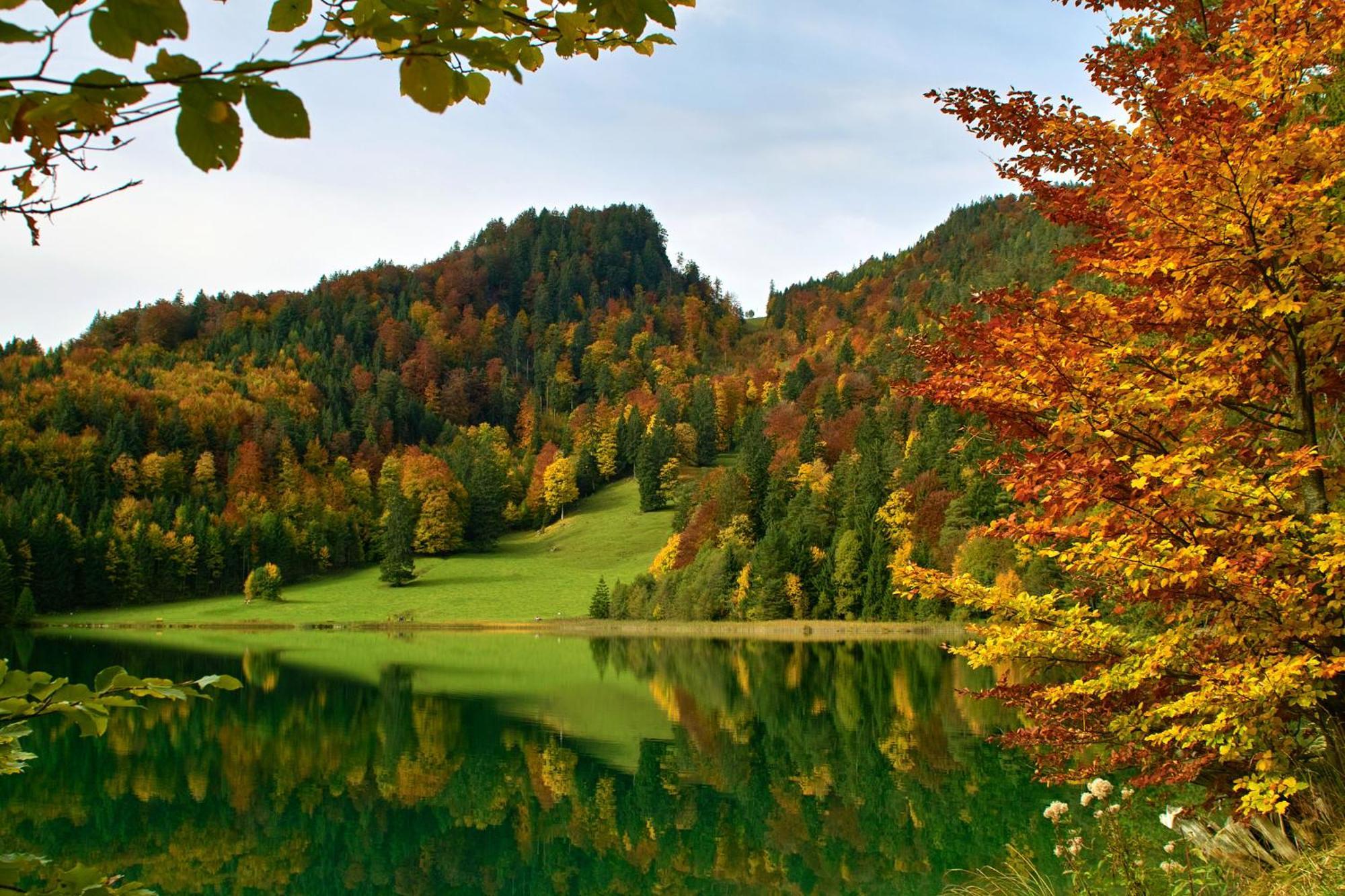 Hotel Restaurant Alatsee Füssen Kültér fotó